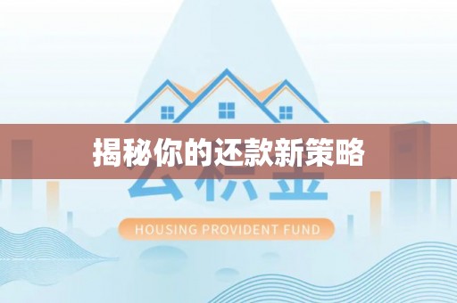 华坪揭秘你的还款新策略