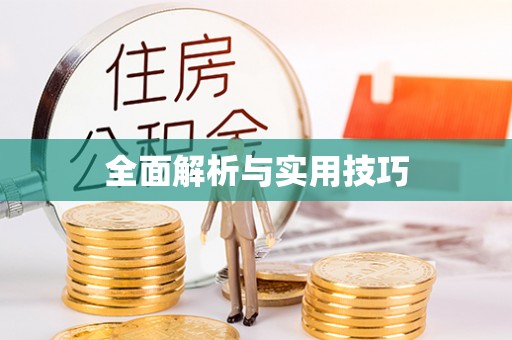 华坪全面解析与实用技巧