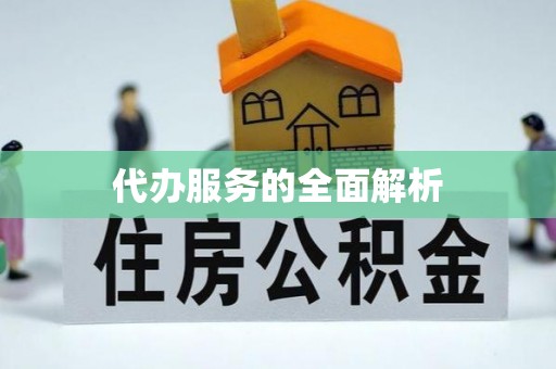 华坪代办服务的全面解析