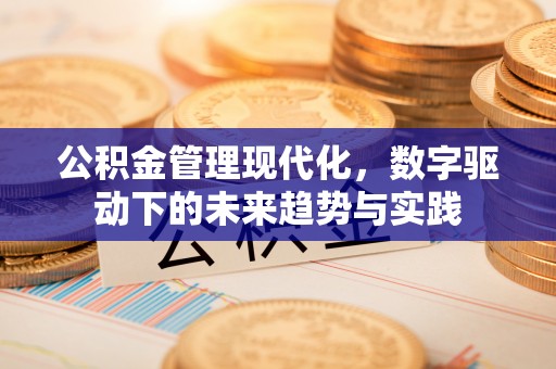 华坪公积金管理现代化，数字驱动下的未来趋势与实践