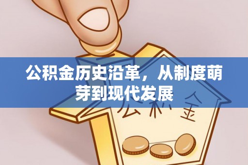 华坪公积金历史沿革，从制度萌芽到现代发展