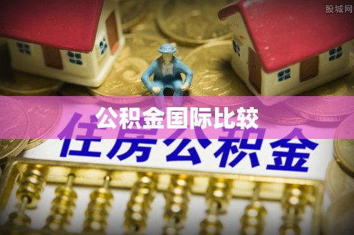 华坪公积金国际比较