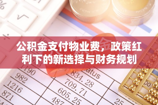 华坪公积金支付物业费，政策红利下的新选择与财务规划