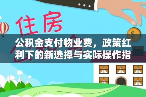 华坪公积金支付物业费，政策红利下的新选择与实际操作指南