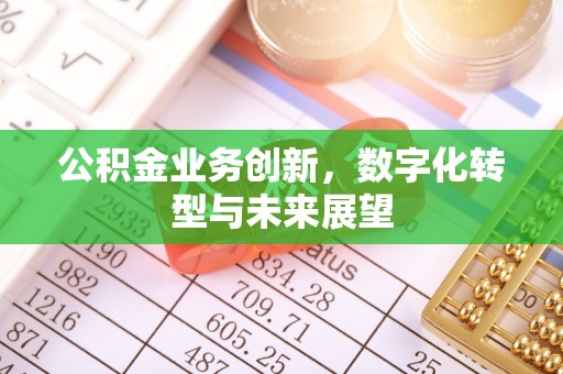 华坪公积金业务创新，数字化转型与未来展望