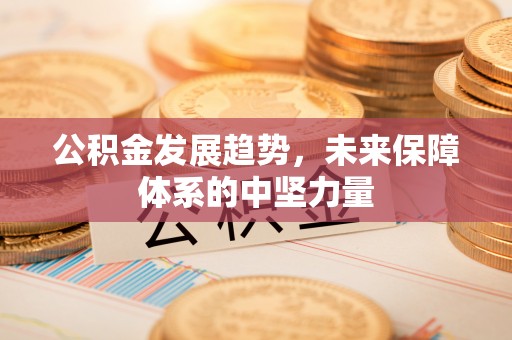华坪公积金发展趋势，未来保障体系的中坚力量
