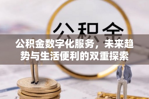 华坪公积金数字化服务，未来趋势与生活便利的双重探索