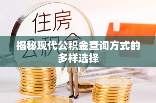 华坪揭秘现代公积金查询方式的多样选择