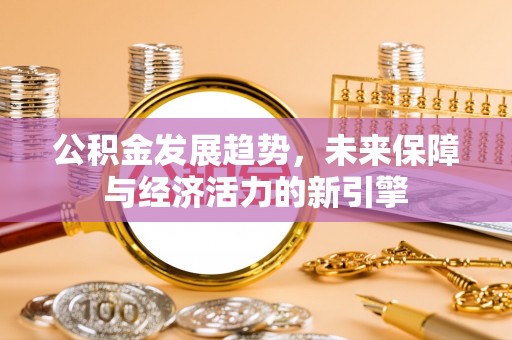 华坪公积金发展趋势，未来保障与经济活力的新引擎