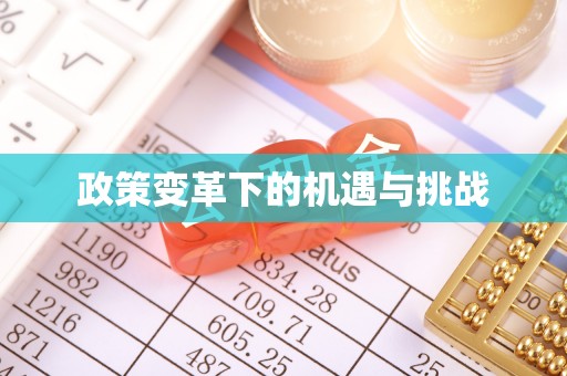 华坪政策变革下的机遇与挑战