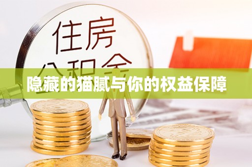 华坪隐藏的猫腻与你的权益保障