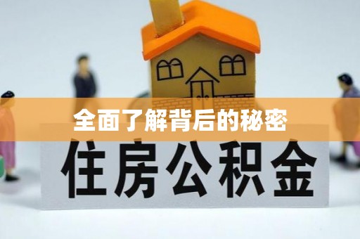 华坪全面了解背后的秘密