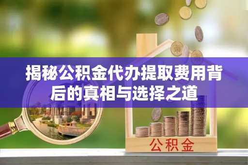 华坪揭秘公积金代办提取费用背后的真相与选择之道