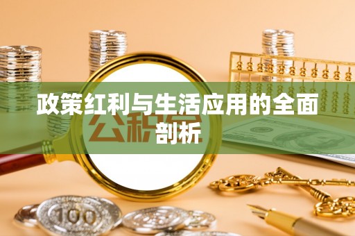 华坪政策红利与生活应用的全面剖析
