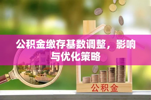 华坪公积金缴存基数调整，影响与优化策略