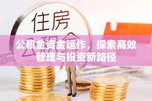 华坪公积金资金运作，探索高效管理与投资新路径