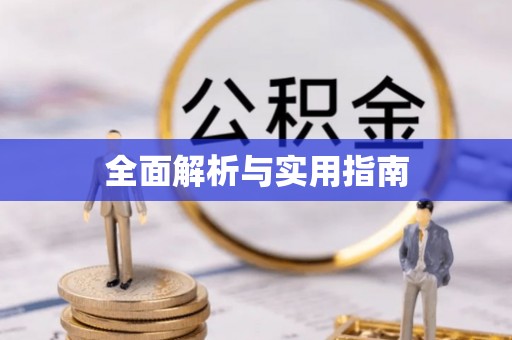 华坪全面解析与实用指南
