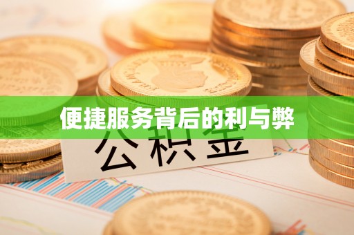 华坪便捷服务背后的利与弊
