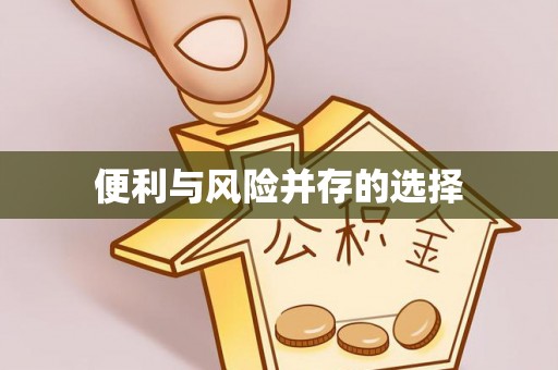 华坪便利与风险并存的选择