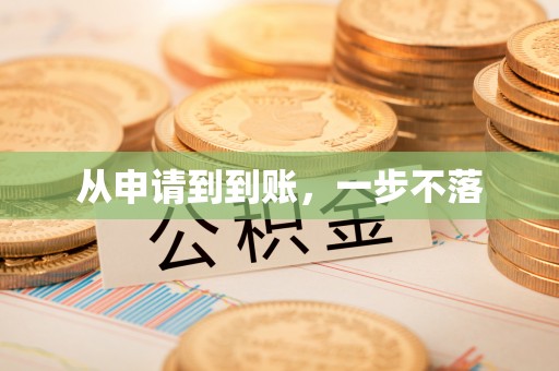 华坪从申请到到账，一步不落