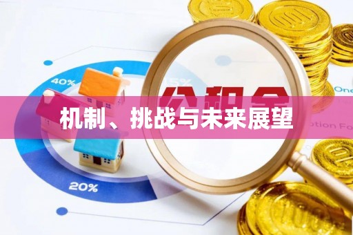 华坪机制、挑战与未来展望